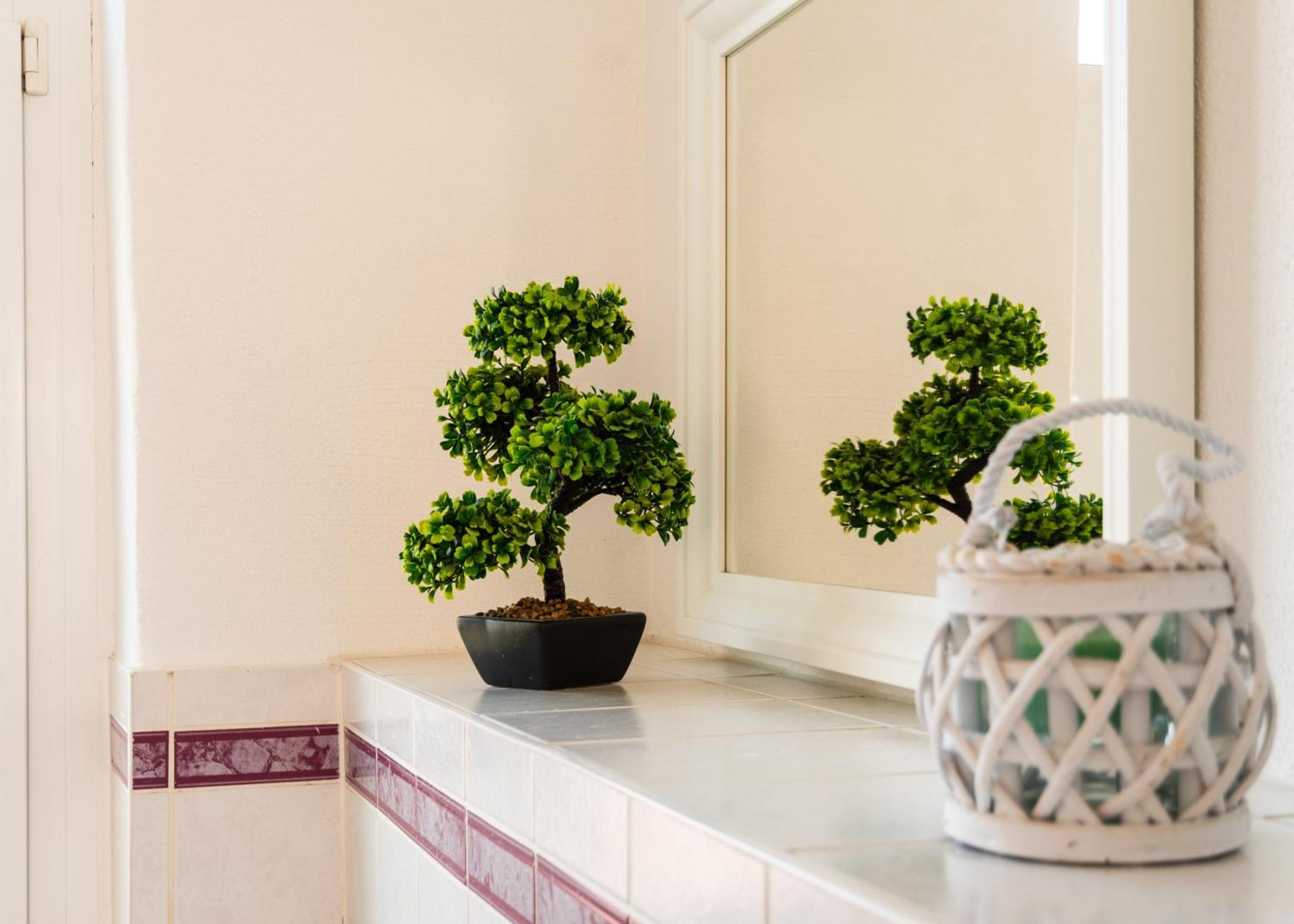 דרזדן Apartmenthaus Rankestrasse 4 מראה חיצוני תמונה